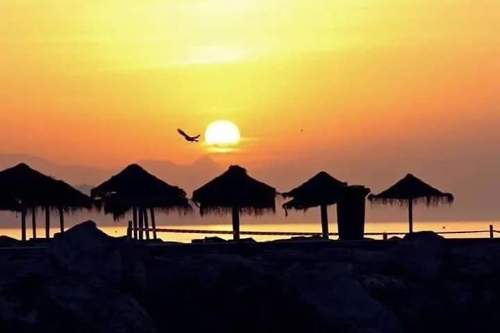 Carpe Diem De Malaga Spain